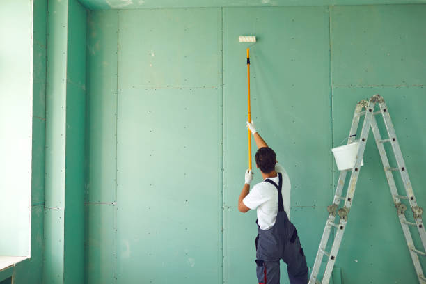 Best Biohazard Mold Removal  in Morganfield, KY