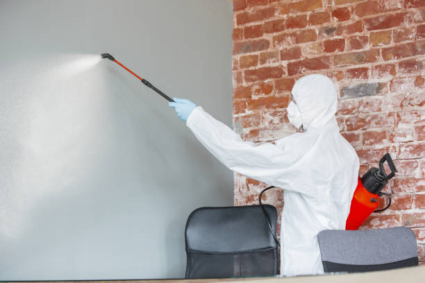 Best Mold-Related Health Consultation  in Morganfield, KY