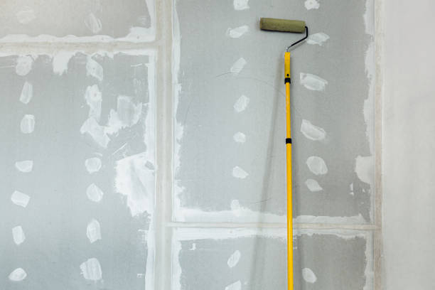 Best Commercial Mold Inspection  in Morganfield, KY