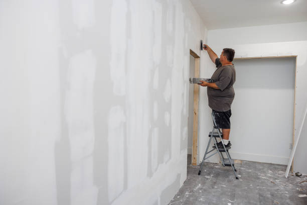 Best Attic Mold Removal  in Morganfield, KY