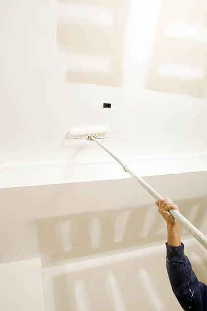 Best Forensic Mold Investigation  in Morganfield, KY