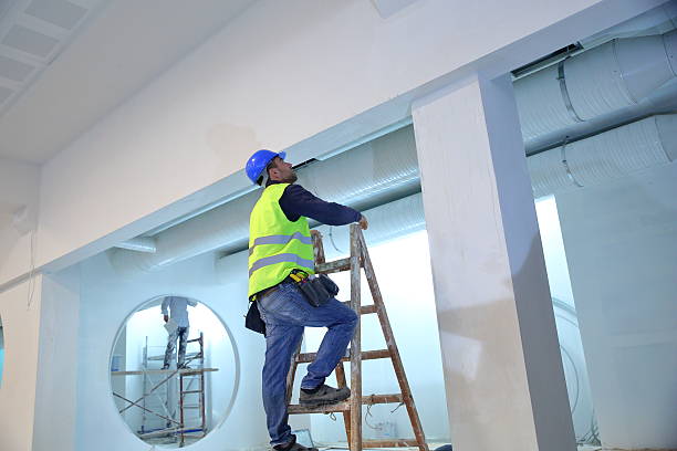 Best Air Quality Testing for Mold Spores  in Morganfield, KY