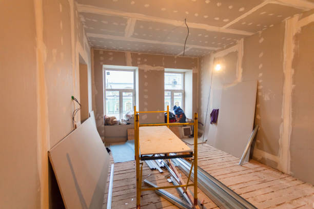 Best Mold Remediation for Vacation Homes  in Morganfield, KY